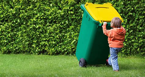 Three Rubbish Removal Tips From Experts - Greenville Dumpster Rental Boss