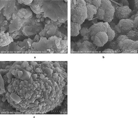 SEM images of gels formed from amorphous LH in 0.025 (a), 0.05 (b) and ...