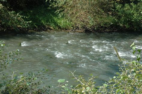 Reka Kolubara - River Kolubara | Ratkovac - Srbija | Zoran Milenkovic ...