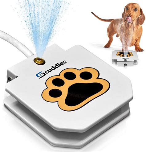 The Best Automatic Waterers for Dogs & Cats - IneptHomeowner