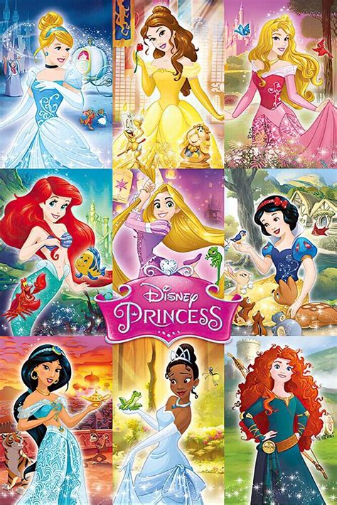 DISNEY PRINCESS - MOVIE POSTER / PRINT (9 PRINCESSES - MONTAGE) (24" x ...