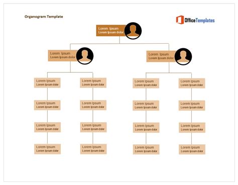 31+ Free Organogram Templates & Organizational Charts