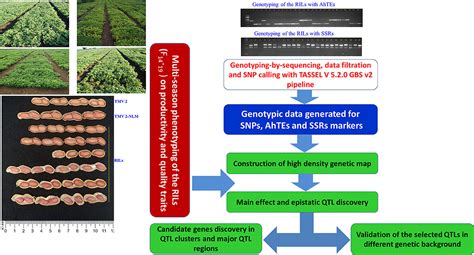 Genetic Mapping