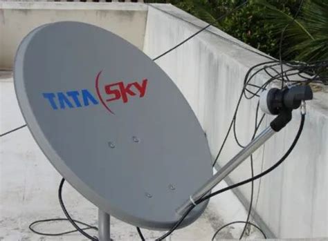 Dish Antenna Installation at Rs 500/strip of 1 tablet | Dish Antenna in ...