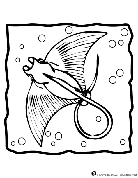 Manta Ray Coloring Page | Woo! Jr. Kids Activities : Children's Publishing