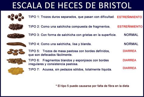 Escala de heces de bristol pdf - ddwes