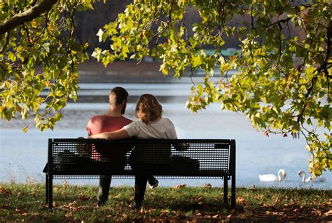 Couple sitting on the park bench image - Free stock photo - Public ...