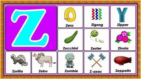 Words From Z | Vocabulary Words | Early Childhood Education | ABC Flashcards - YouTube