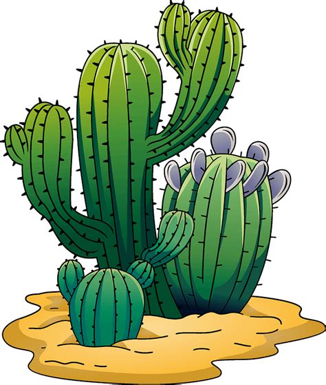 Cactus Border Png