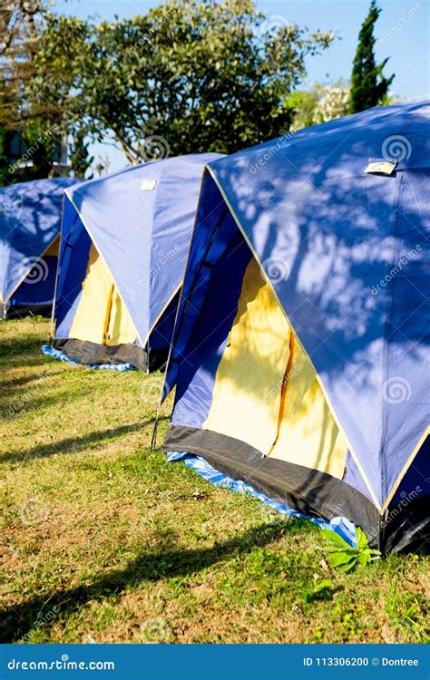 Camping in the forest stock photo. Image of outside - 113306200