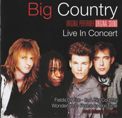 Big Country – Live In Concert (2007, CD) - Discogs