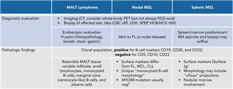 Challenges and Opportunities in Marginal Zone Lymphoma: Implications of ...