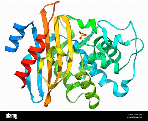 Beta-lactamase molecule Stock Photo - Alamy