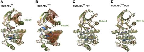 Ponatinib reverts the dynamics of the BCR-ABL T315I catalytic domain to... | Download Scientific ...