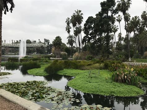 Echo Park Lake Tours - Book Now | Expedia