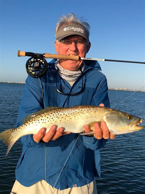 Fly Fishing for Speckled Trout (Spotted Sea Trout) – Sarasota Fly Fishing Charters – Sarasota ...