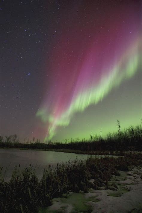 Northern Lights, Edmonton, Alberta Photograph by Carson Ganci