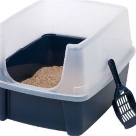 Best Litter Box For Odor Control & Smells | HubPages