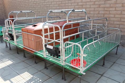 Pig Farming Equipment With Farrowing Crates For Sale - Buy Pig Farming ...