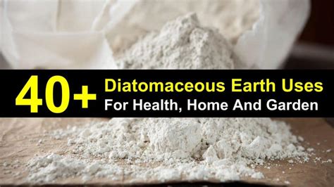 40+ Amazing Diatomaceous Earth Uses for Health, Home and Garden