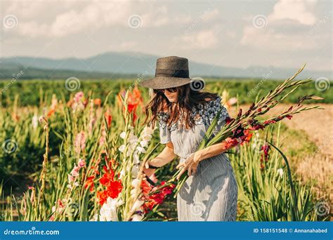 Gorgeous Young Woman Picking Flowers in a Field Stock Photo - Image of ...