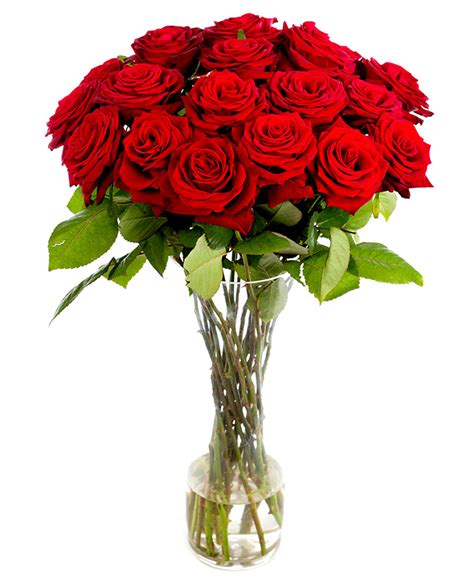 Roses - Long Stemmed - Red | Flowers by Flourish