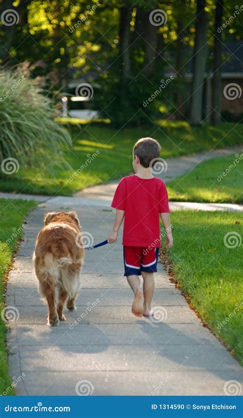 Boy Walking Dog Stock Photo - Image: 1314590