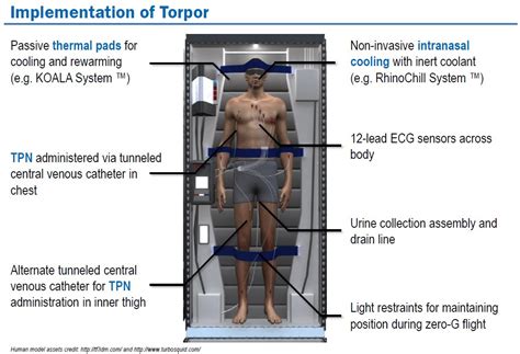 Sending 100 people to Mars in vehicle with torpor inducing habitats | Space-for-All at HobbySpace