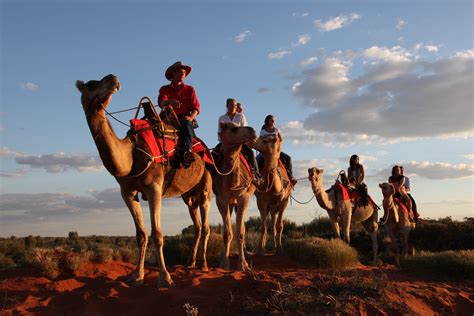 Uluru Camel Tours, Uluru Kata Tjuta National Park, NT – LEESHARING