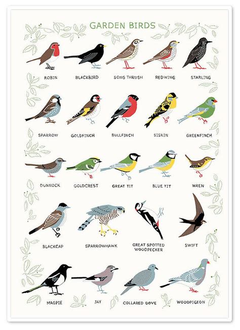 'Garden Birds' Screen Print | Backyard birds, Bird garden, Pet birds