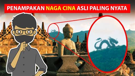 VIDEO PENAMPAKAN NAGA CINA DI DUNIA NYATA - YouTube