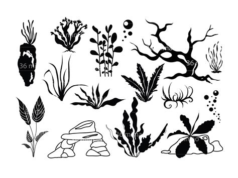 Aquarium Plants SVG, Aquascaping Plants, Freshwater Aquarium Plants ...