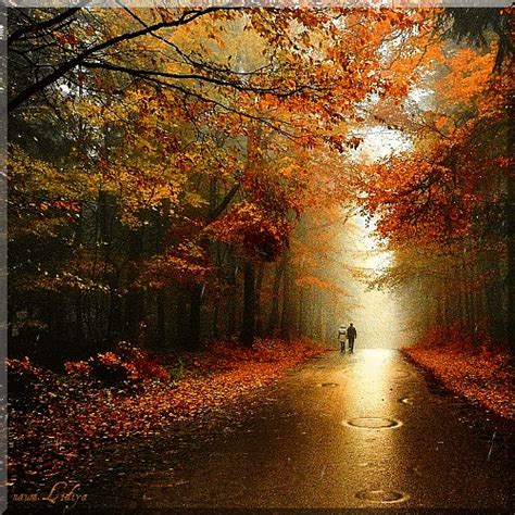 Autumn Rain Pictures, Photos, and Images for Facebook, Tumblr, Pinterest, and Twitter