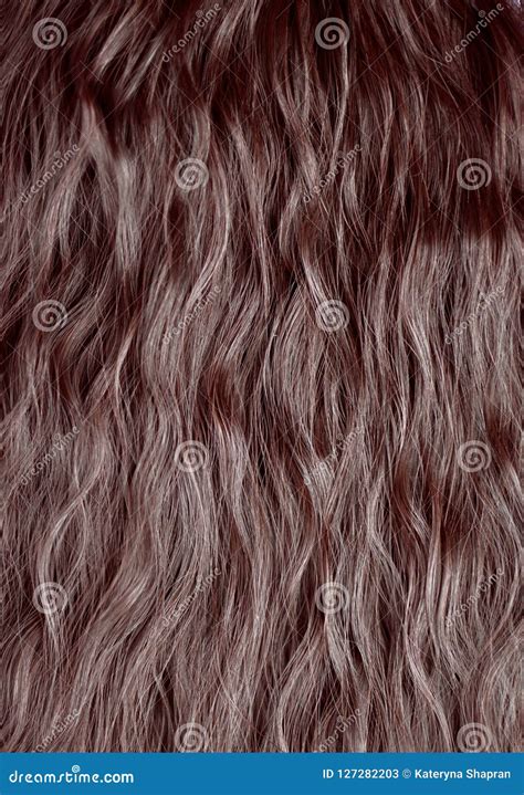 Healthy Hair Texture, Dark Brown Wavy Natural Hair, Concept of H Stock Image - Image of beauty ...