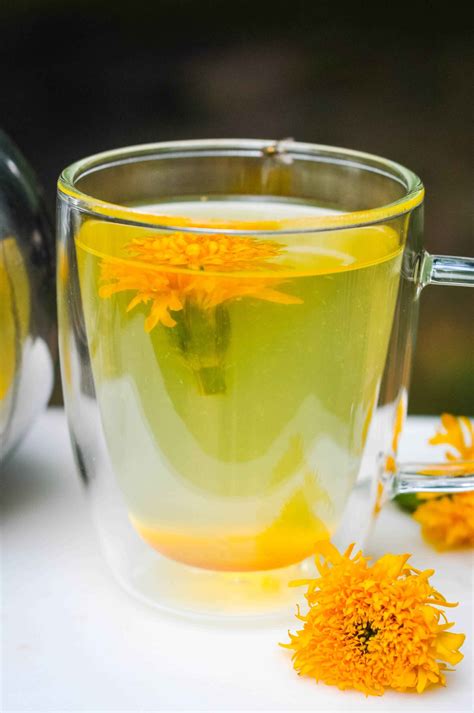 Calendula Tea Benefits & Recipe (+17 Other Ways to Use Calendula)