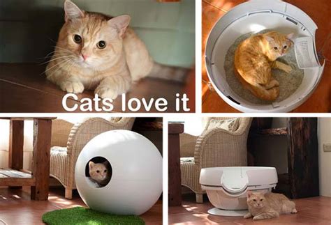 Janar Spherical Cat House and Litter Box with Spray Box | Gadgetsin