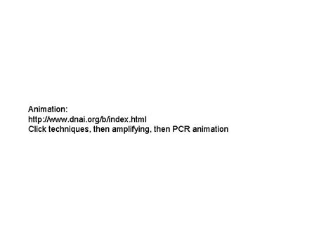 Biogenetic Engineering PCR Polymerase Chain Reaction PCR PCR