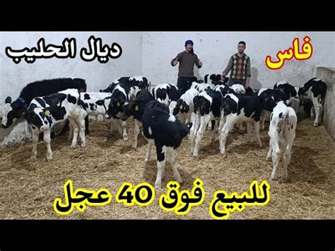 تمت عملية البيع - YouTube