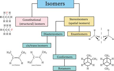 Draw All Of The Different Stereoisomers Of Chloro Iodobutane As | My XXX Hot Girl