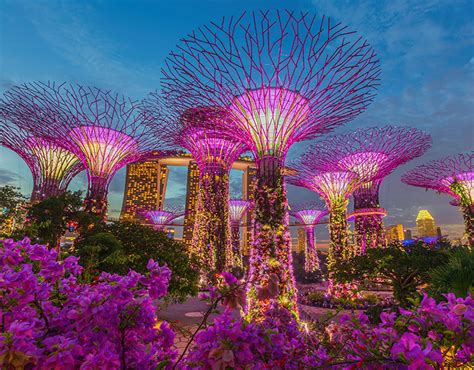 Gardens by the Bay | Singapore Attractions | Big Bus Tours