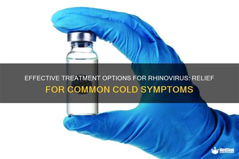 Effective Treatment Options For Rhinovirus: Relief For Common Cold ...