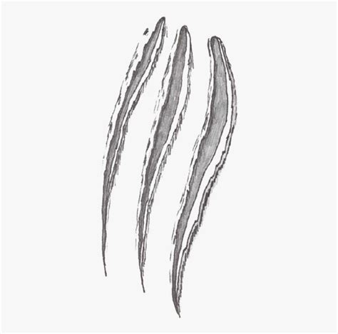 Realistic Claw Marks Png Claw stretch marks bear claw marks spencer marks dr claw dr