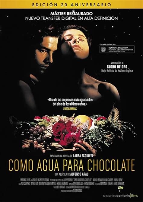 Como agua para chocolate [DVD]: Amazon.es: Lumi Cavazos, Marco Leonardi, Regina Torné, Alfonso ...