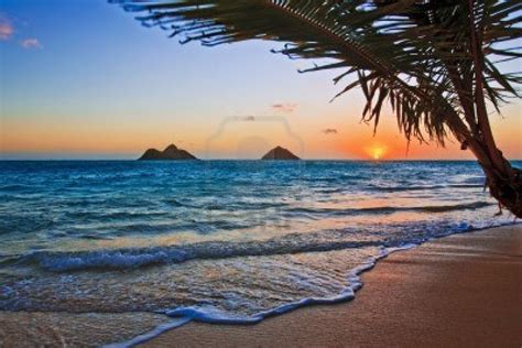 Life's Portal: Some of the most desireable beaches to visit..!!