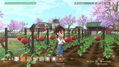 Story of Seasons A Wonderful Life Crops Farming Guide | The Nerd Stash