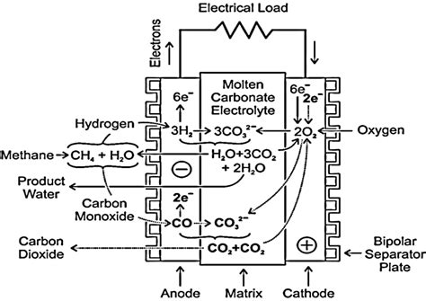 Schematic Diagram of Molten Carbonate Fuel Cell [6] | Download Scientific Diagram