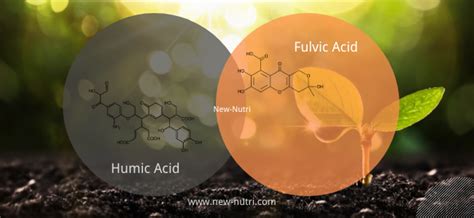 Humic Acid and Fulvic Acid – New-Nutri