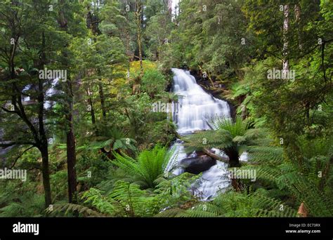 Triplet Falls, Cape Otway National Park, Victoria, Australia Stock ...