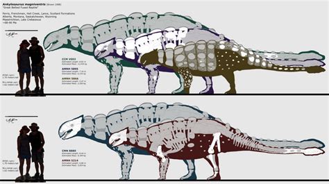 Another new super based Ankylosaurus by the super based Fadeno (now ...