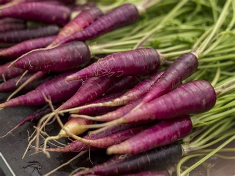 Purple Carrot: Nutrition & Benefits | Organic Facts